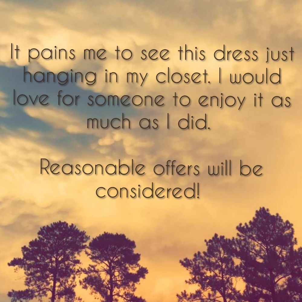 Emerald Formal Dress (DDNY by Daniella) - Picture 5 of 5